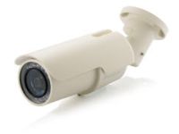 LevelOne FCS-5051 bewakingscamera IP-beveiligingscamera Buiten Rond 1920 x 1080 Pixels Plafond/muur