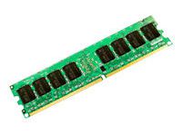 Transcend - DDR2 - 1 GB - DIMM 240-pins - niet-gebufferd
