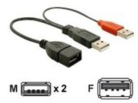 DeLOCK USB-kabel - 23 cm