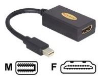 DeLOCK videoadapter - DisplayPort / HDMI - 18 cm