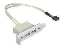 DeLOCK Slot bracket - USB-kabel - 50 cm