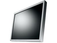 EIZO FlexScan S2133-GY - LED-monitor - 21.3"